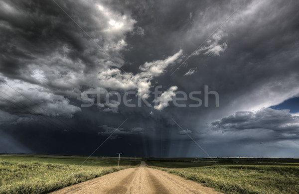 Gewitterwolken Saskatchewan Wolken Schotterstraße Himmel Natur Stock foto © pictureguy