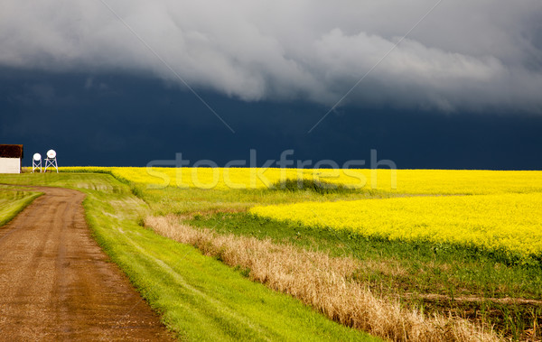 Prairie nuages ​​d'orage sinistre météorologiques saskatchewan Canada Photo stock © pictureguy