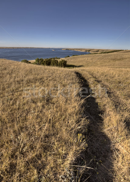 lake diefenbaker Saskatchewan Canada Stock photo © pictureguy