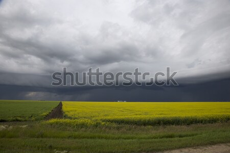 Stock photo: Prairie Storm Clouds