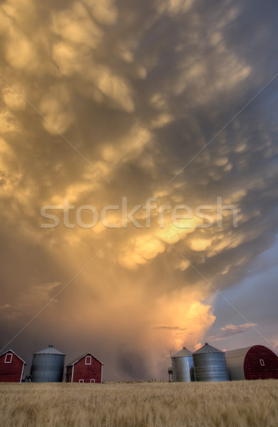 Foto stock: Pôr · do · sol · Canadá · relâmpago · céu · nuvens