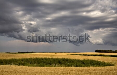 Prärie Gewitterwolken Wetter Saskatchewan Kanada Stock foto © pictureguy