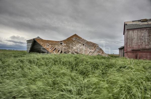 Abbandonato farm cielo costruzione natura Foto d'archivio © pictureguy