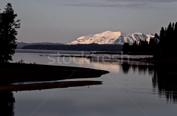 Yellowstone National Park Stock photo © pictureguy