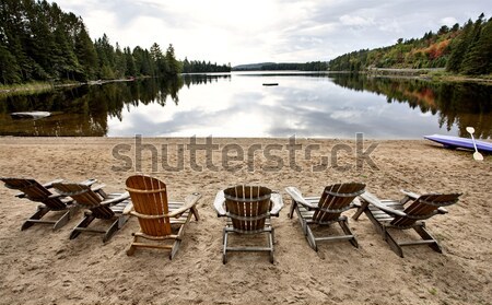 Parc ontario lac cădea toamnă Imagine de stoc © pictureguy