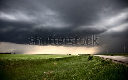 Storm Clouds Prairie Sky Saskatchewan Stock photo © pictureguy