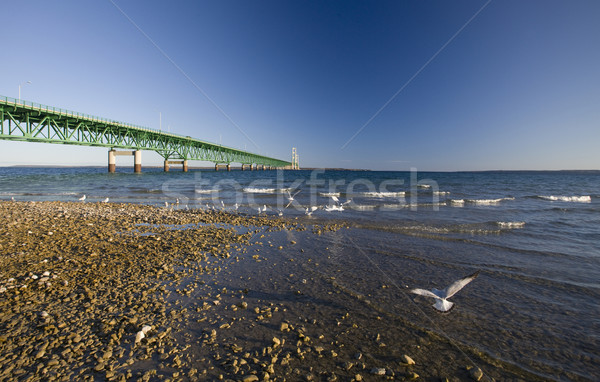 Stad brug Michigan najaar vallen auto Stockfoto © pictureguy