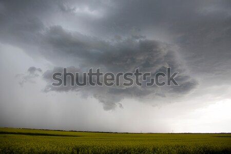Foto d'archivio: Saskatchewan · buio · cielo · natura · panorama