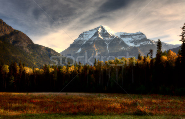 Mount Robson in autumn Stock photo © pictureguy