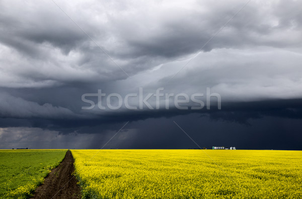 Nubes de tormenta saskatchewan plataforma nube siniestro alerta Foto stock © pictureguy