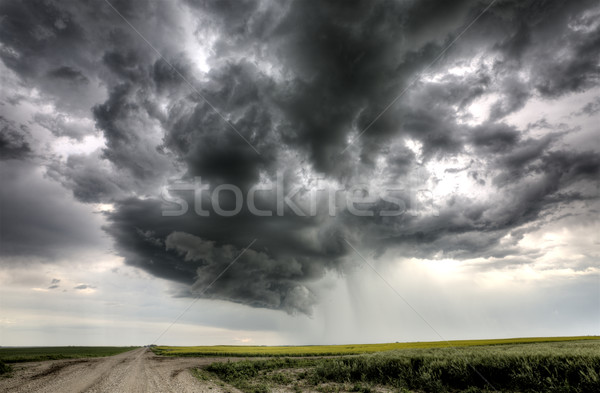 Gewitterwolken Saskatchewan Himmel Natur Landschaft Sturm Stock foto © pictureguy
