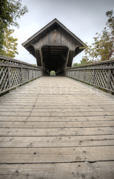Wooden Covered Bridge Stock photo © pictureguy