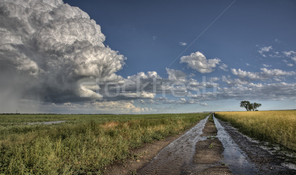 Préri út viharfelhők Saskatchewan Kanada mező Stock fotó © pictureguy