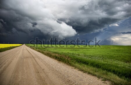 Nuages ​​d'orage saskatchewan prairie scène Canada ferme [[stock_photo]] © pictureguy