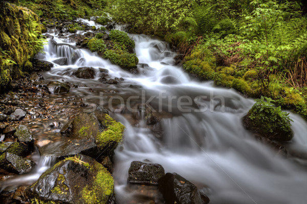 columbia river gorge Oregon Stock photo © pictureguy