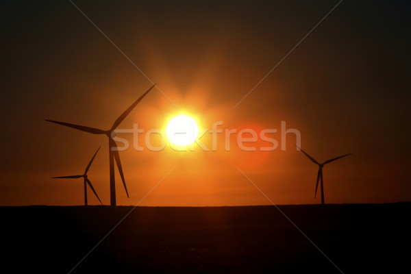 Stock photo: Sun glare upon Alberta windfarm