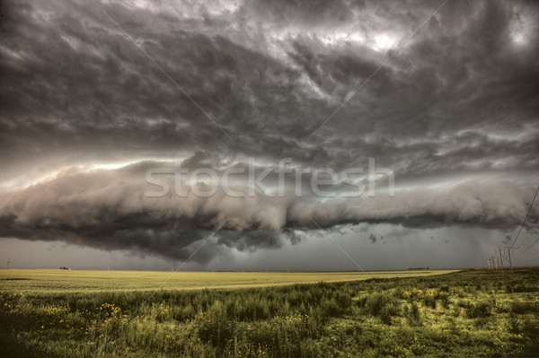 Nuages ​​d'orage saskatchewan blé champs ciel nature [[stock_photo]] © pictureguy