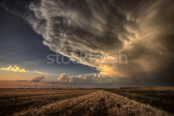 Gewitterwolken Saskatchewan Wolken Sonnenuntergang Himmel Natur Stock foto © pictureguy