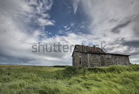 An old Saskatchewan homestead Stock photo © pictureguy