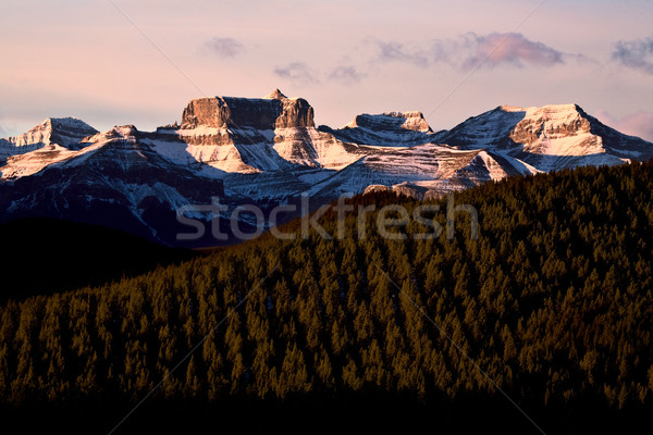 Rocky Mountains in Winter Stock photo © pictureguy