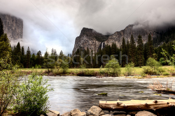 Yosemite National Park Stock photo © pictureguy