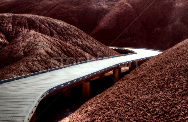 Verniciato colline Oregon colorato view rosso Foto d'archivio © pictureguy