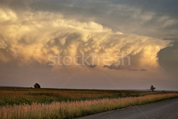 Viharfelhők Saskatchewan farm föld égbolt természet Stock fotó © pictureguy