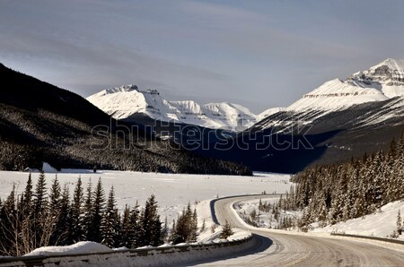 山 冬 カナダ 自然 風景 美 ストックフォト © pictureguy