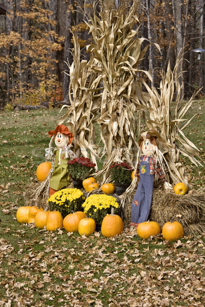 Halloween göstermek Minnesota kabak korkuluk mısır Stok fotoğraf © pictureguy