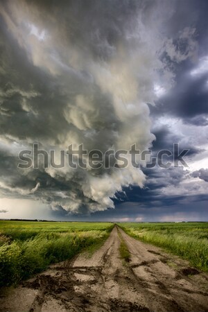Onweerswolken prairie hemel saskatchewan Canada landschap Stockfoto © pictureguy
