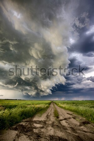 Fırtına bulutları kır gökyüzü saskatchewan Kanada manzara Stok fotoğraf © pictureguy