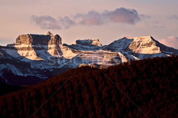 Rocky Mountains in Winter Stock photo © pictureguy