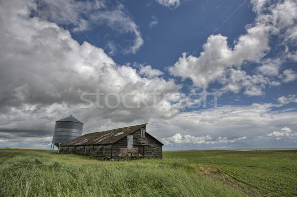 Abandoned Farm Stock photo © pictureguy