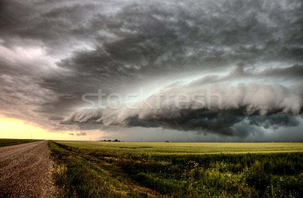 Saskatchewan nubi strada sterrata cielo natura Foto d'archivio © pictureguy