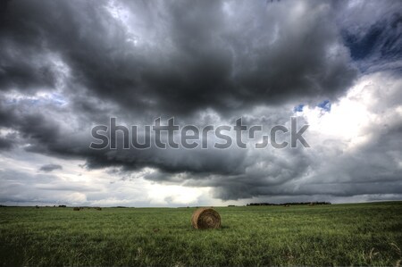 Gewitterwolken Saskatchewan Himmel Natur Landschaft Sturm Stock foto © pictureguy