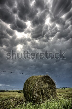 Nuages ​​d'orage saskatchewan foin ciel nature paysage [[stock_photo]] © pictureguy