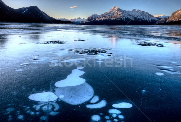 Abraham Lake Winter Stock photo © pictureguy