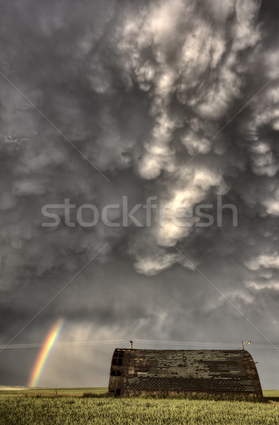 Gewitterwolken Saskatchewan Regenbogen Prärie Kanada Himmel Stock foto © pictureguy