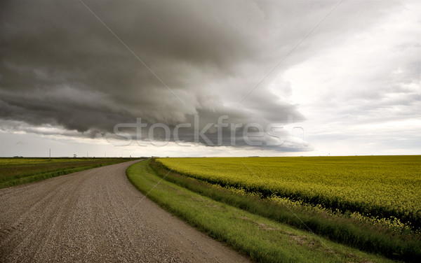Onweerswolken saskatchewan plank wolk waarschuwing Stockfoto © pictureguy