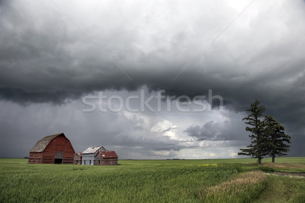 Viharfelhők Saskatchewan polc felhő baljós figyelmeztetés Stock fotó © pictureguy