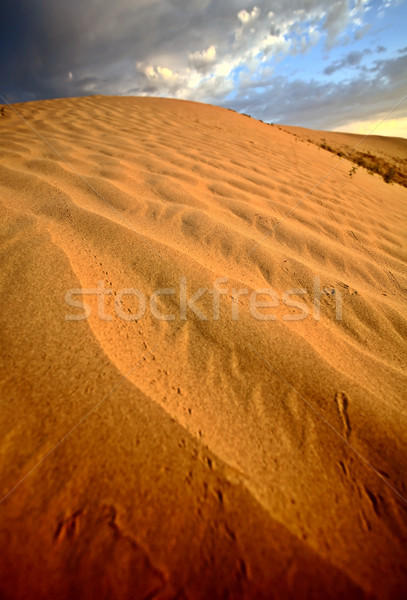 Dune de sable magnifique sable collines scénique saskatchewan [[stock_photo]] © pictureguy