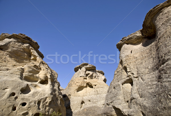 Stock photo: Milk River Alberta Badlands