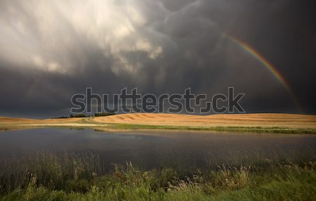 Furtună curcubeu saskatchewan Canada cer natură Imagine de stoc © pictureguy