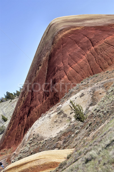 Verniciato colline Oregon colorato view rosso Foto d'archivio © pictureguy