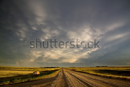 Gewitterwolken Saskatchewan Prärie Szene Himmel Natur Stock foto © pictureguy