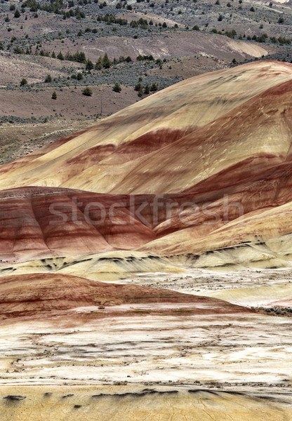 Verniciato colline Oregon colorato view rosso Foto d'archivio © pictureguy