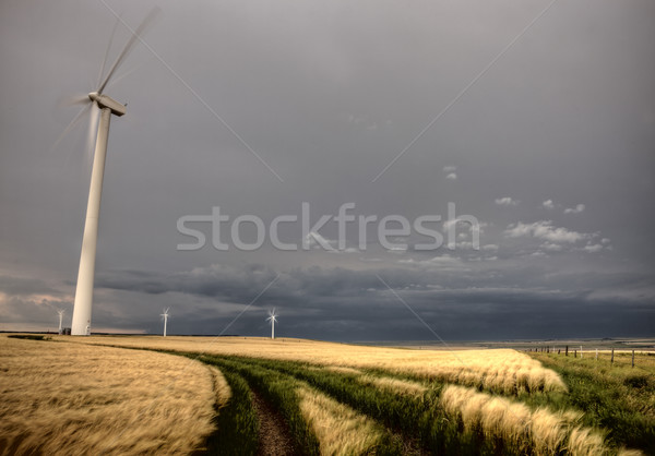 Prairie onweerswolken weer saskatchewan Canada Stockfoto © pictureguy