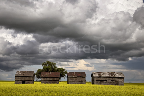 Burzowe chmury saskatchewan półka Chmura ostrzeżenie Zdjęcia stock © pictureguy