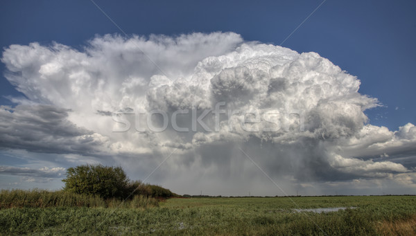 Préri út viharfelhők Saskatchewan Kanada mező Stock fotó © pictureguy