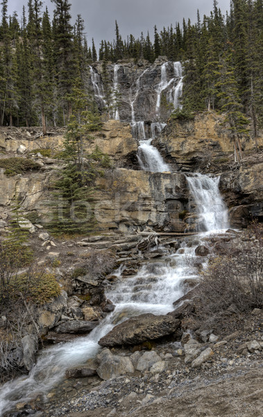 Stock photo: Tangle Waterfall Alberta Canada